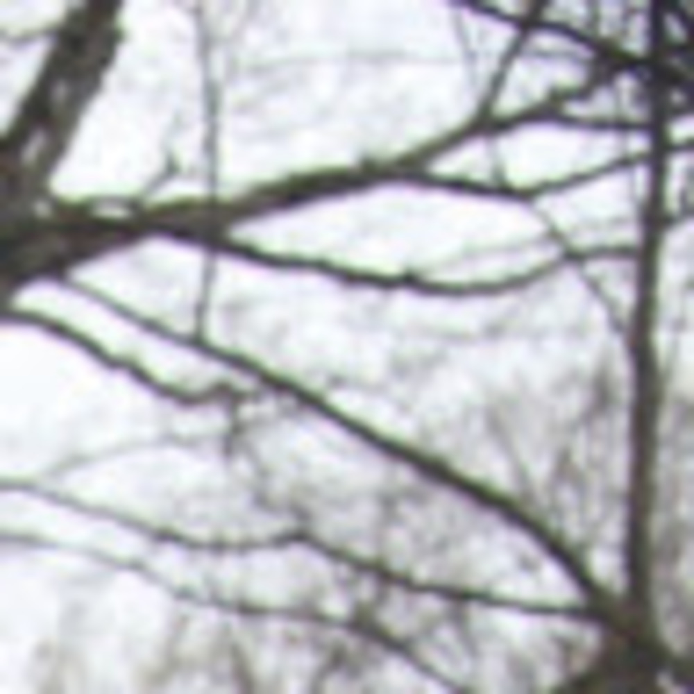 Meet your Posher, 信太郎